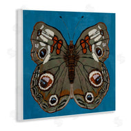 Kara Keller Designs | Buckeye Butterfly Symmetry