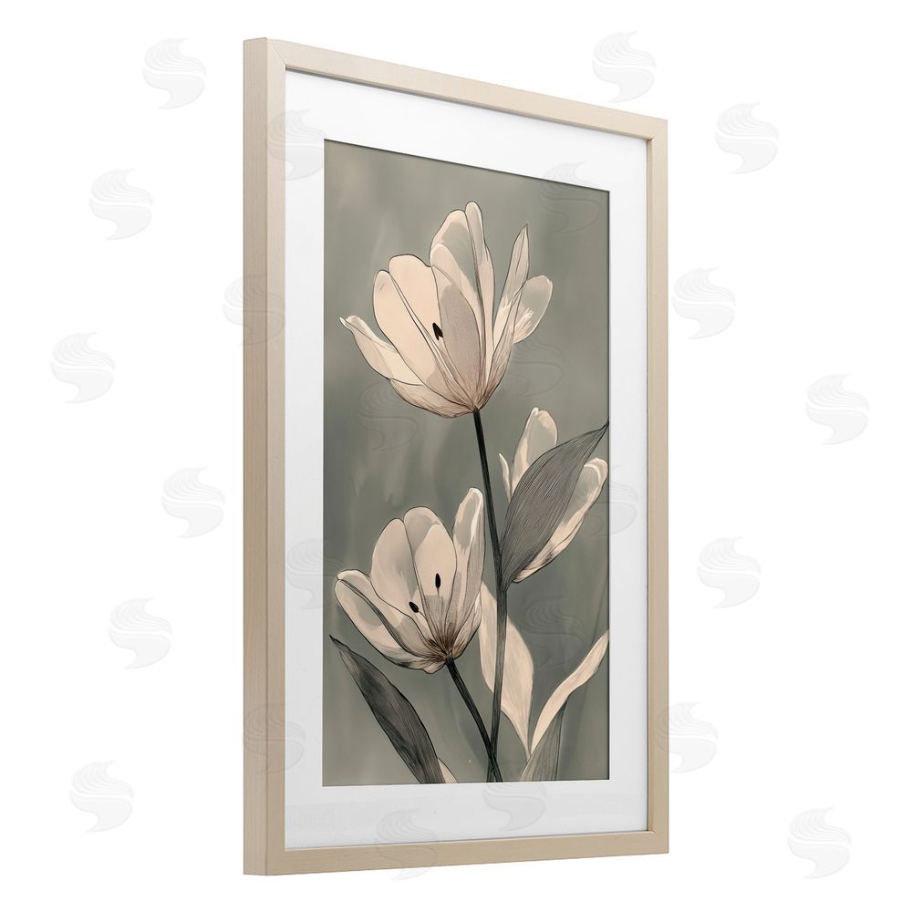 Annabelle Hall Times Three Budding Flowers Birch Framed Print Under Glass Art