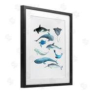 Evelyn Coleman | Underwater Creatures in Blues