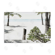 Noah Bay | Shoreline Palms Landscape