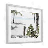 Noah Bay | Shoreline Palms Landscape
