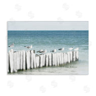 Noah Bay | Gulls Waiting Beach Scene