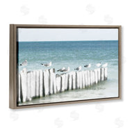 Noah Bay | Gulls Waiting Beach Scene