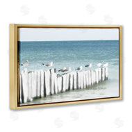 Noah Bay | Gulls Waiting Beach Scene
