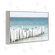 Noah Bay | Gulls Waiting Beach Scene