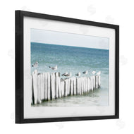Noah Bay | Gulls Waiting Beach Scene