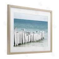 Noah Bay | Gulls Waiting Beach Scene