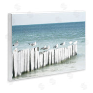 Noah Bay | Gulls Waiting Beach Scene