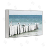 Noah Bay | Gulls Waiting Beach Scene