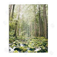 Leah Straatsma | Verdant Forest Glow Wilderness