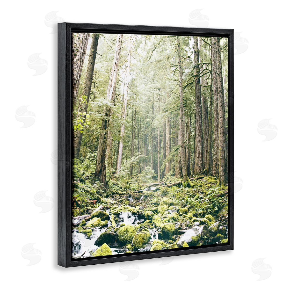 Leah Straatsma Verdant Forest Glow Wilderness Black Floating Frame Canvas Wall Art Print