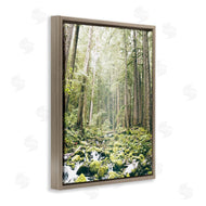 Leah Straatsma | Verdant Forest Glow Wilderness
