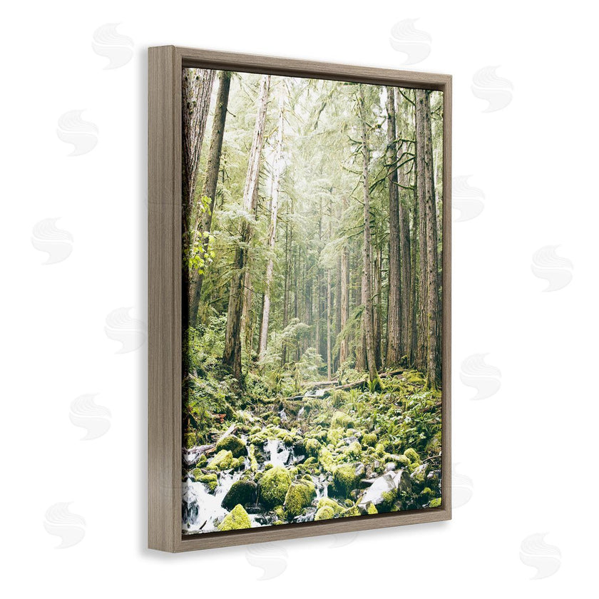 Leah Straatsma | Verdant Forest Glow Wilderness