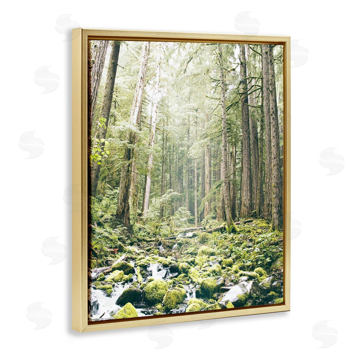 Leah Straatsma Verdant Forest Glow Wilderness Gold Floating Frame Canvas Art Print