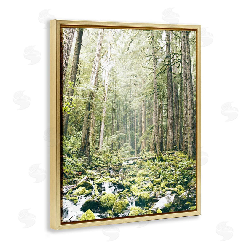 Leah Straatsma | Verdant Forest Glow Wilderness
