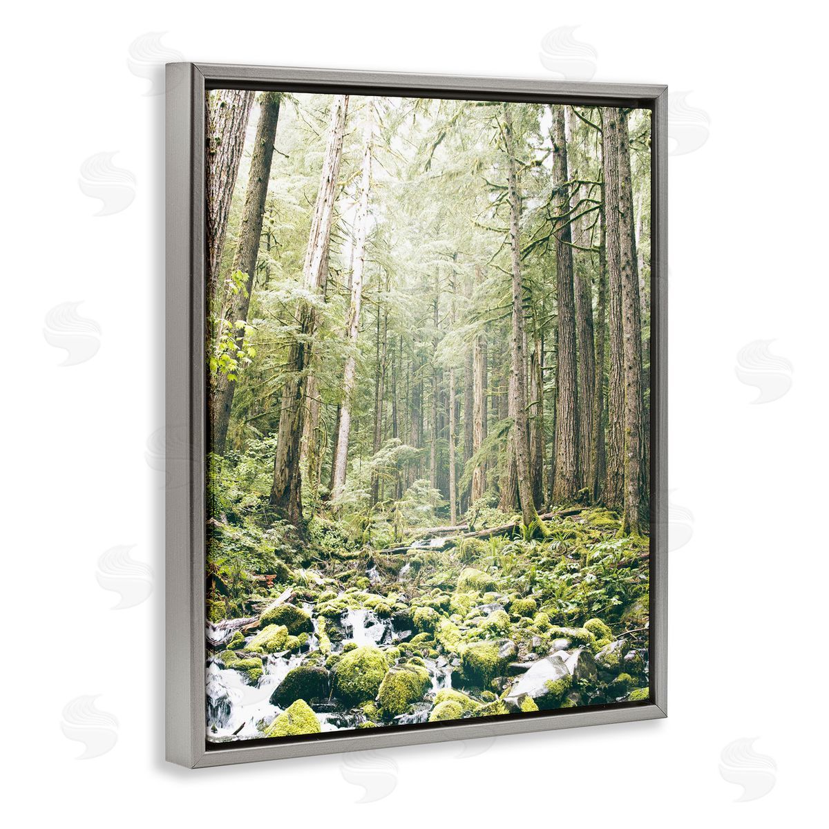 Leah Straatsma Verdant Forest Glow Wilderness Gray Floating Frame Canvas Art Print