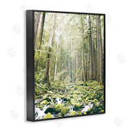 Leah Straatsma | Verdant Forest Glow Wilderness