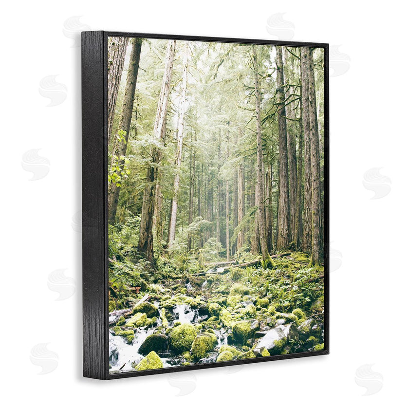Leah Straatsma | Verdant Forest Glow Wilderness