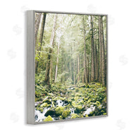 Leah Straatsma | Verdant Forest Glow Wilderness