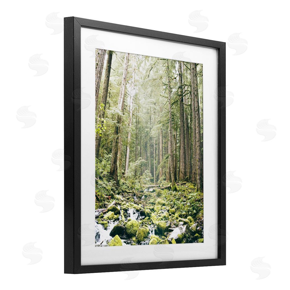 Leah Straatsma Verdant Forest Glow Wilderness Black Framed Print Under Glass Art