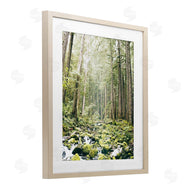 Leah Straatsma | Verdant Forest Glow Wilderness