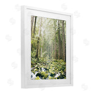 Leah Straatsma | Verdant Forest Glow Wilderness