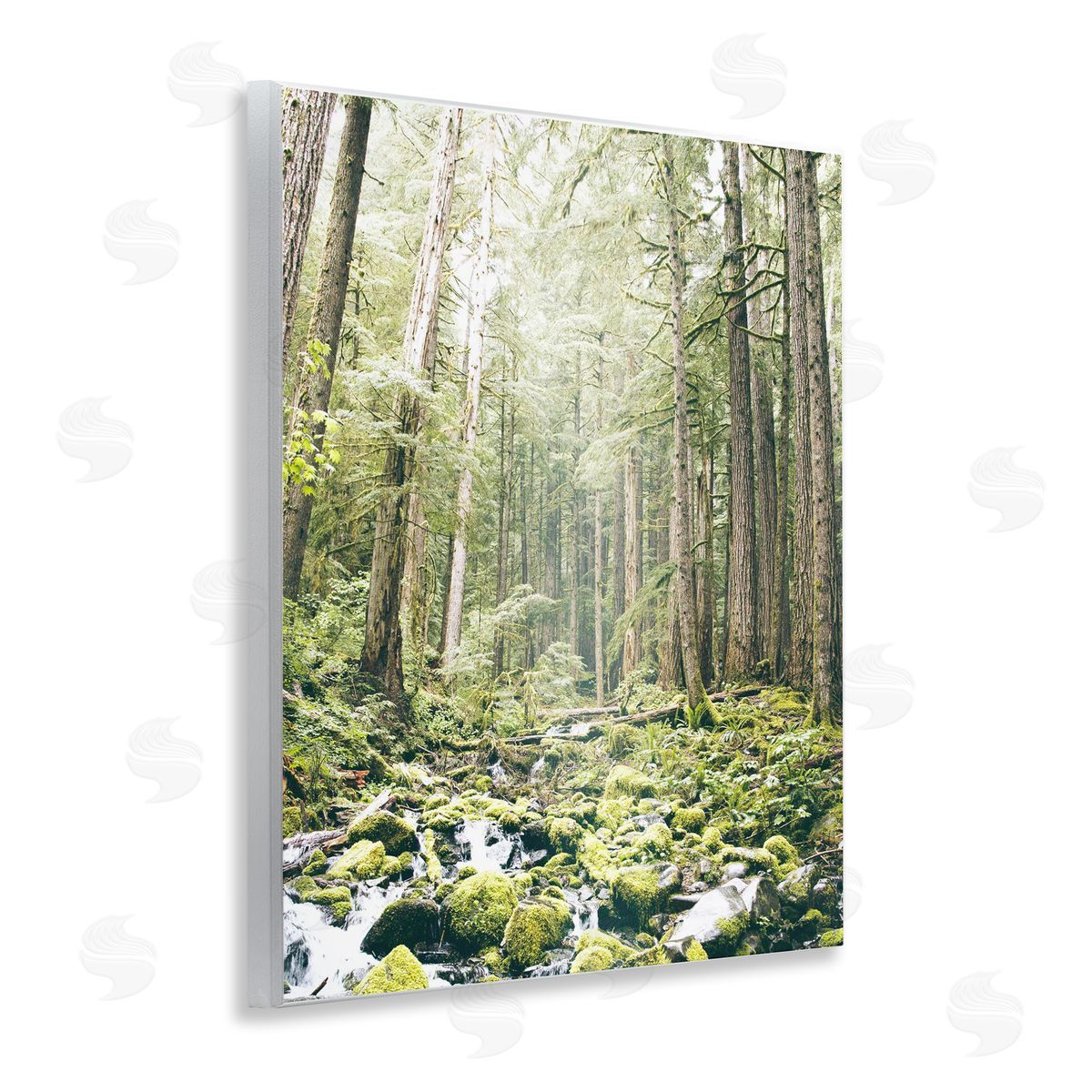 Leah Straatsma Verdant Forest Glow Wilderness Wall Plaque Art Print