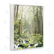 Leah Straatsma | Verdant Forest Glow Wilderness
