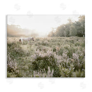 Leah Straatsma | Misty Sunset Horse