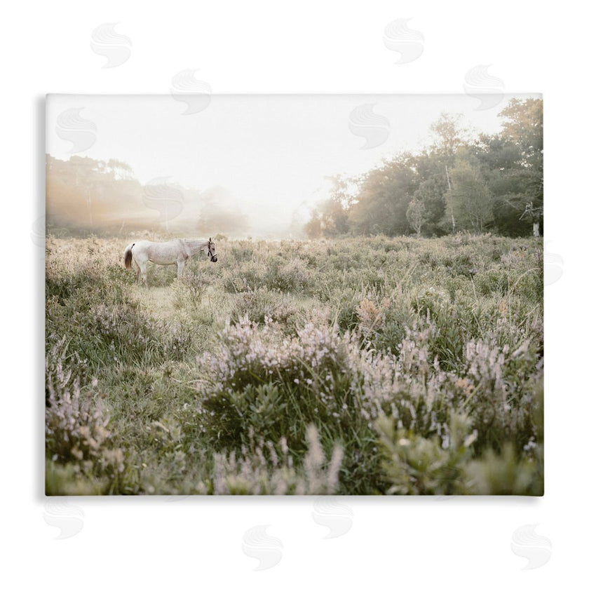 Leah Straatsma | Misty Sunset Horse