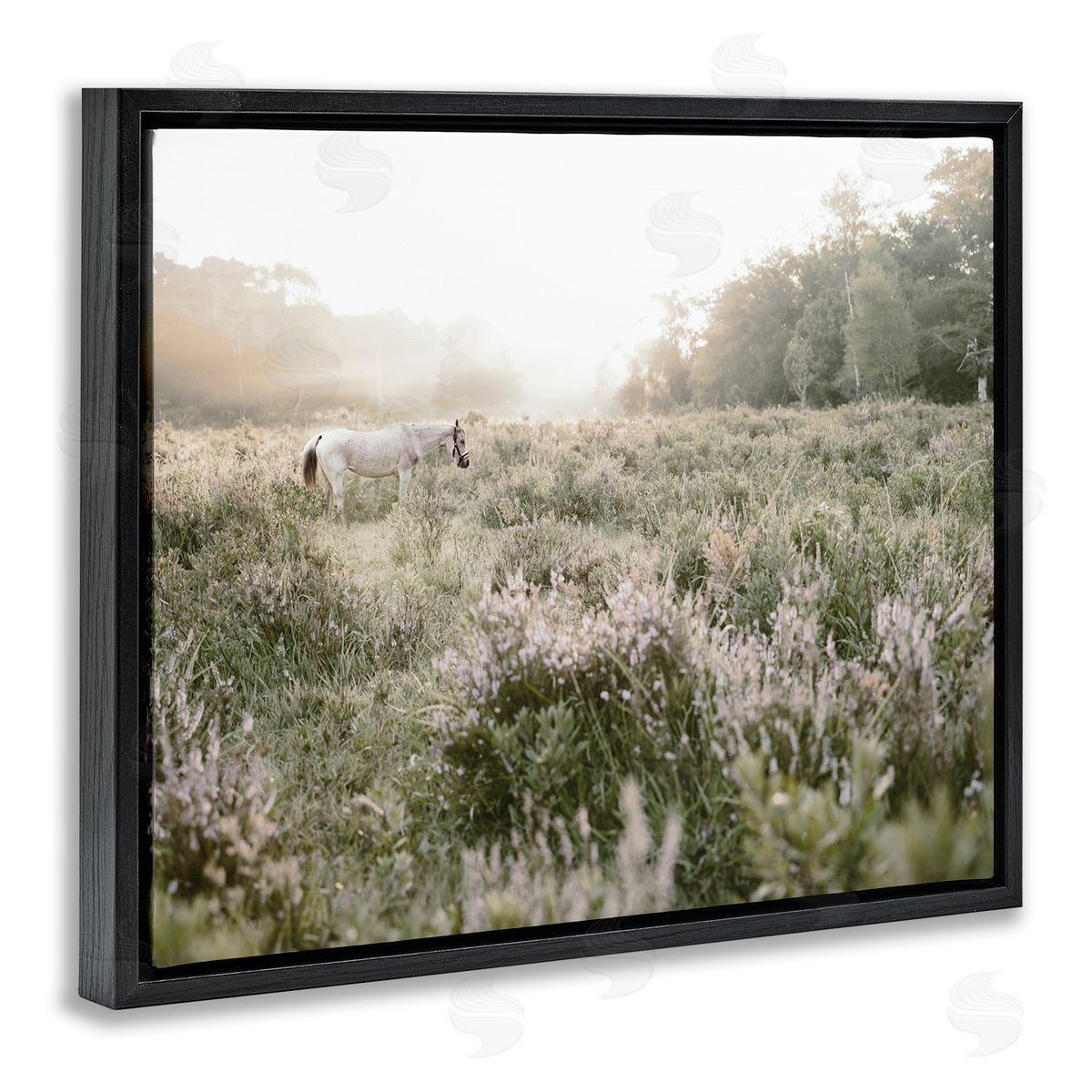 Leah Straatsma Misty Sunset Horse Black Floating Frame Canvas Wall Art Print
