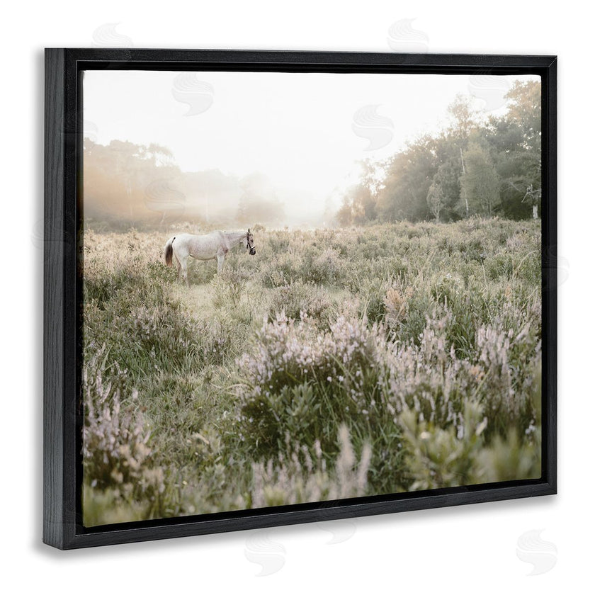 Leah Straatsma | Misty Sunset Horse