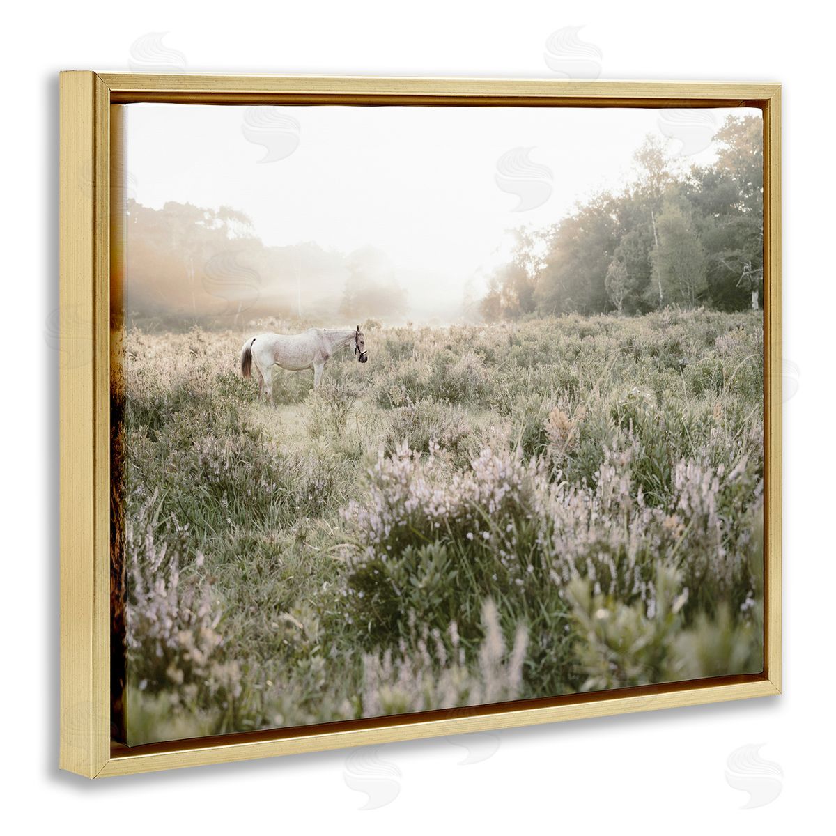 Leah Straatsma Misty Sunset Horse Gold Floating Frame Canvas Art Print