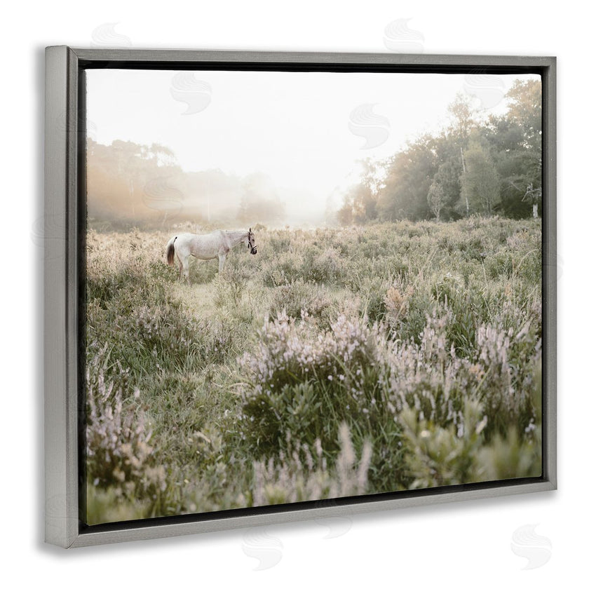 Leah Straatsma | Misty Sunset Horse