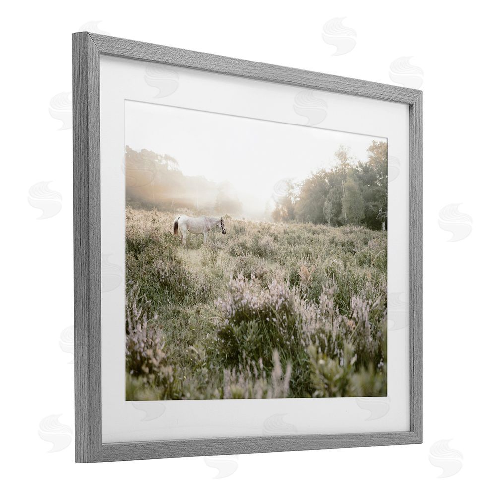 Leah Straatsma Misty Sunset Horse Gray Framed Print Under Glass Art