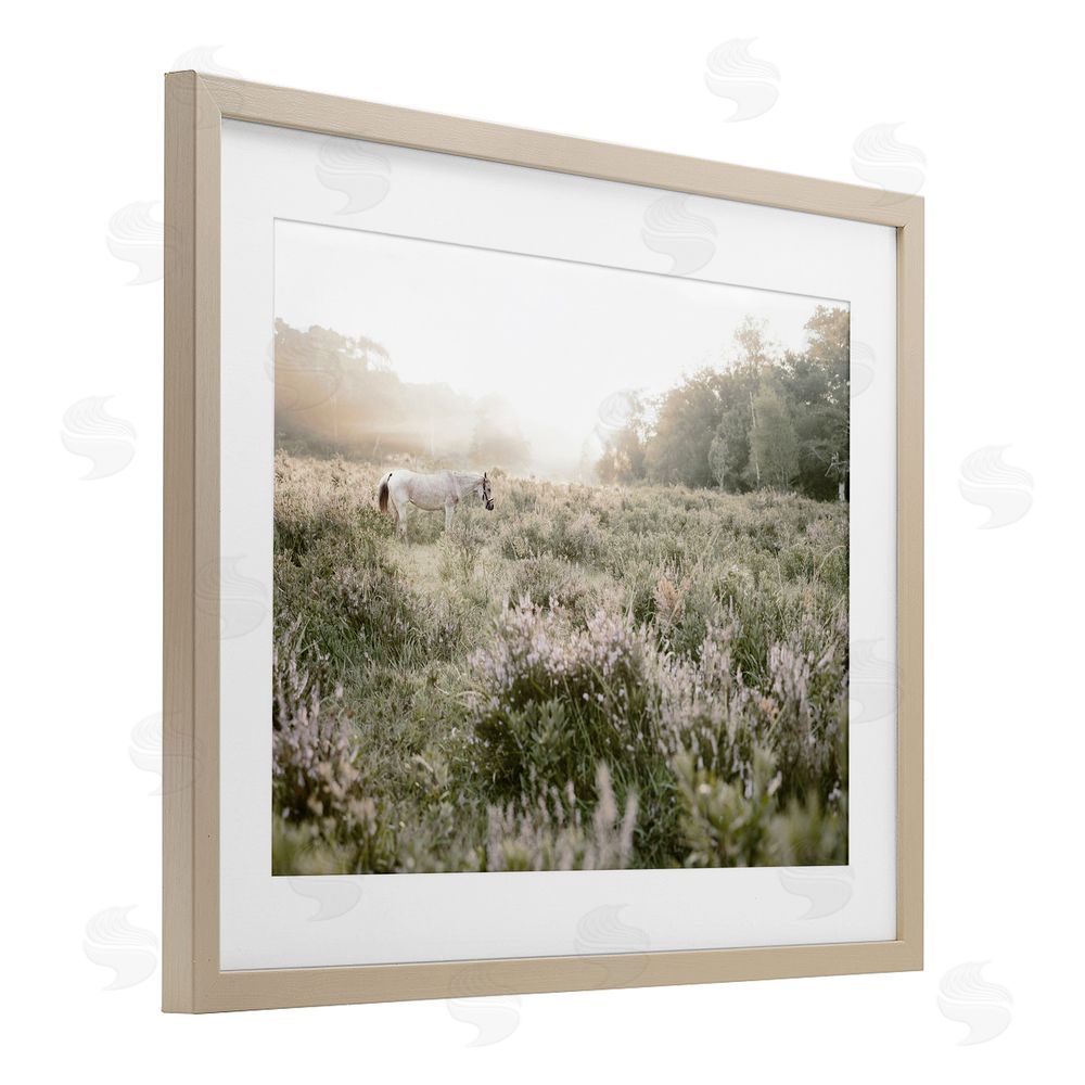 Leah Straatsma Misty Sunset Horse Birch Framed Print Under Glass Art