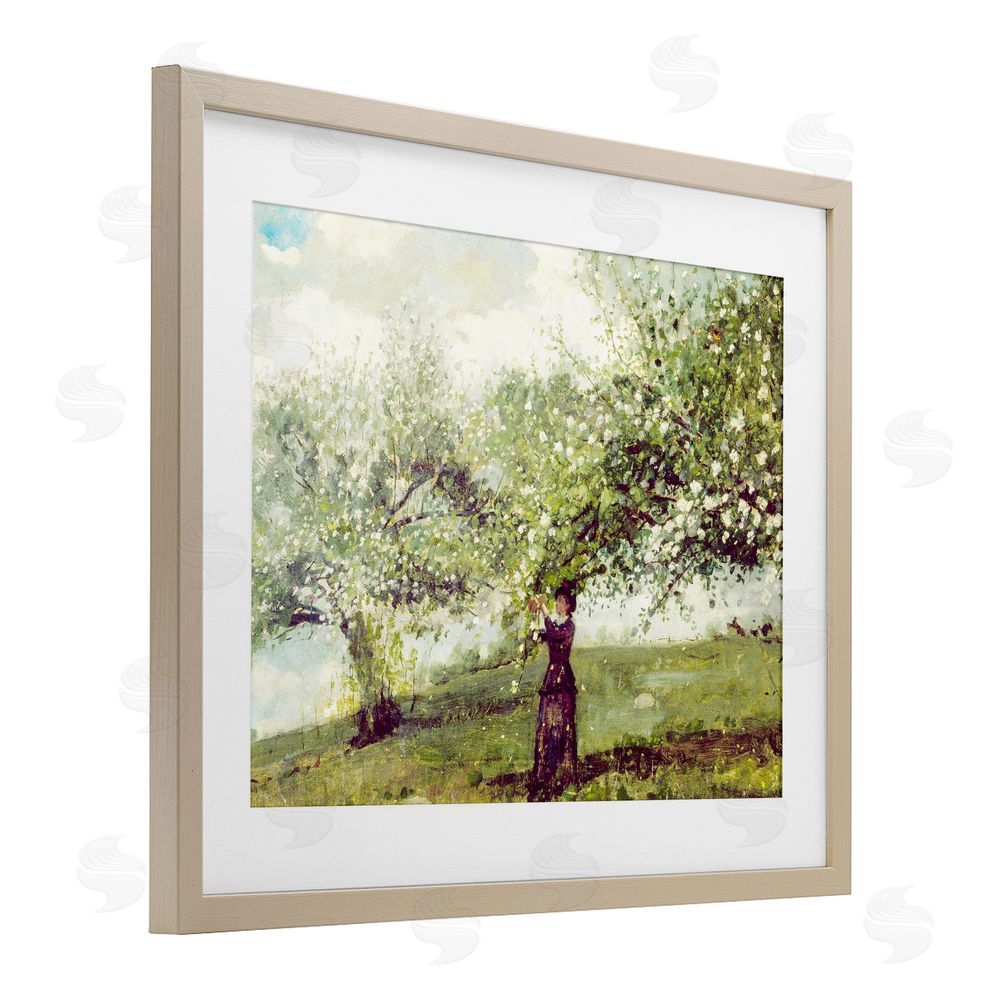 Leah Straatsma Vintage Gathering Blossoms Birch Framed Print Under Glass Art