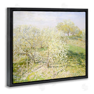 Leah Straatsma | Vintage Apple Orchard