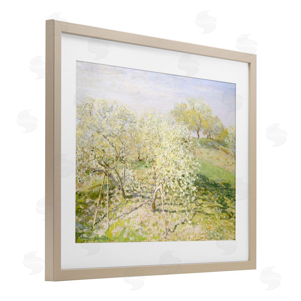 Leah Straatsma Vintage Apple Orchard Birch Framed Print Under Glass Art