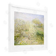 Leah Straatsma | Vintage Apple Orchard