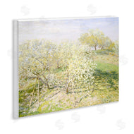 Leah Straatsma | Vintage Apple Orchard