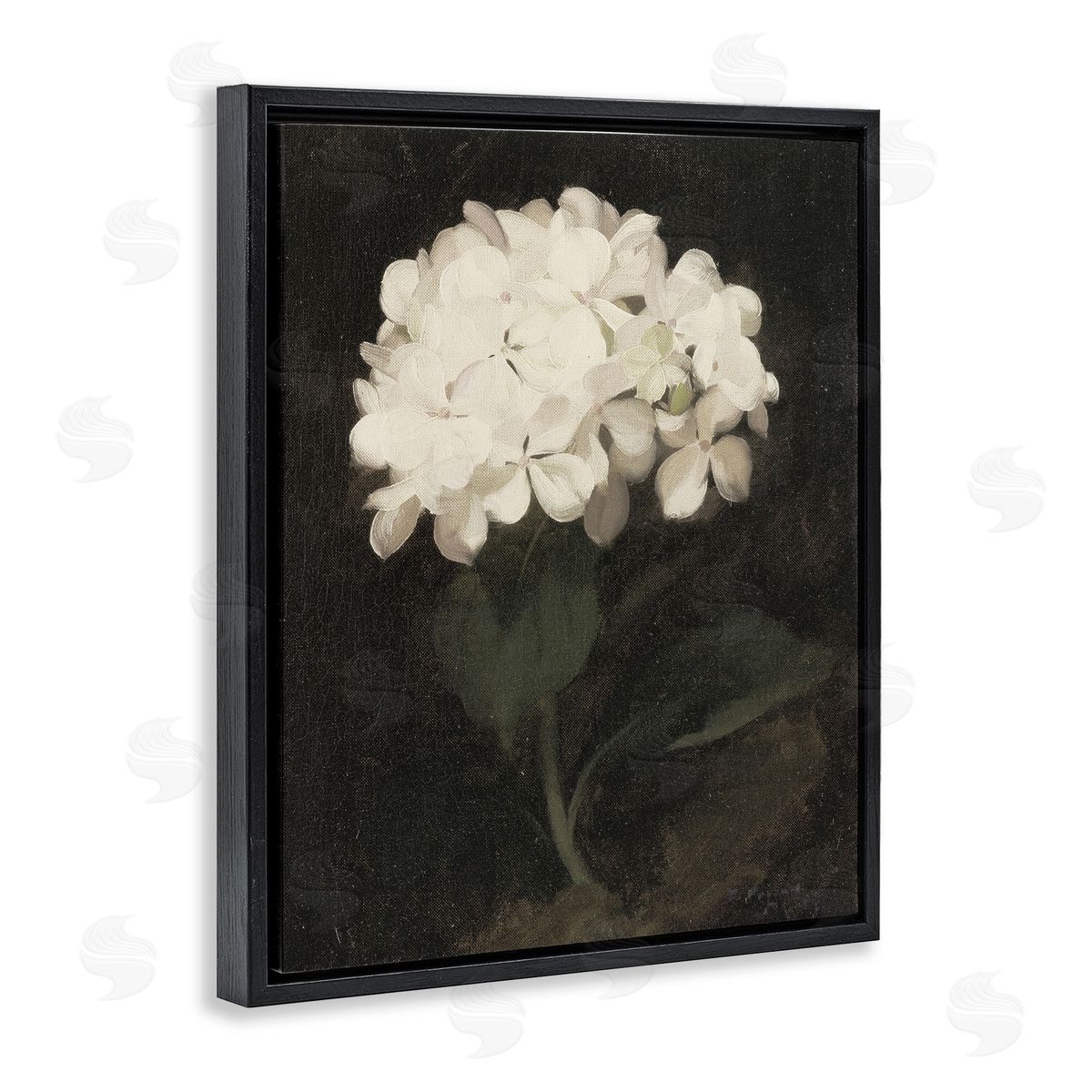 Leah Straatsma White Geranium Cluster Black Floating Frame Canvas Wall Art Print