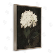 Leah Straatsma | White Geranium Cluster