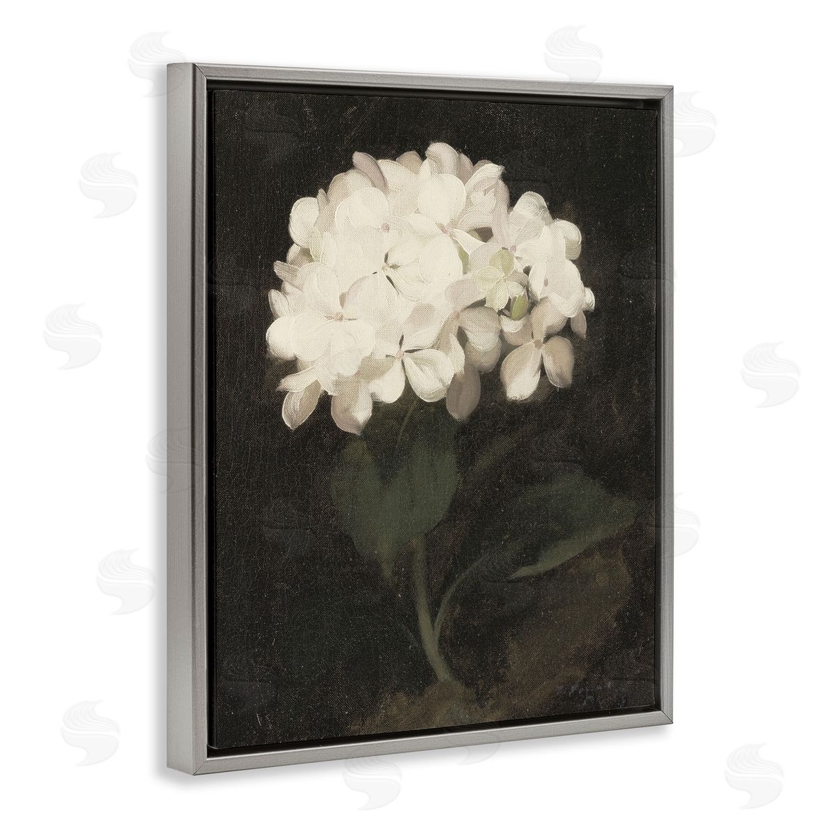 Leah Straatsma White Geranium Cluster Gray Floating Frame Canvas Art Print