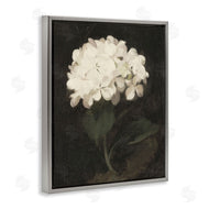 Leah Straatsma | White Geranium Cluster