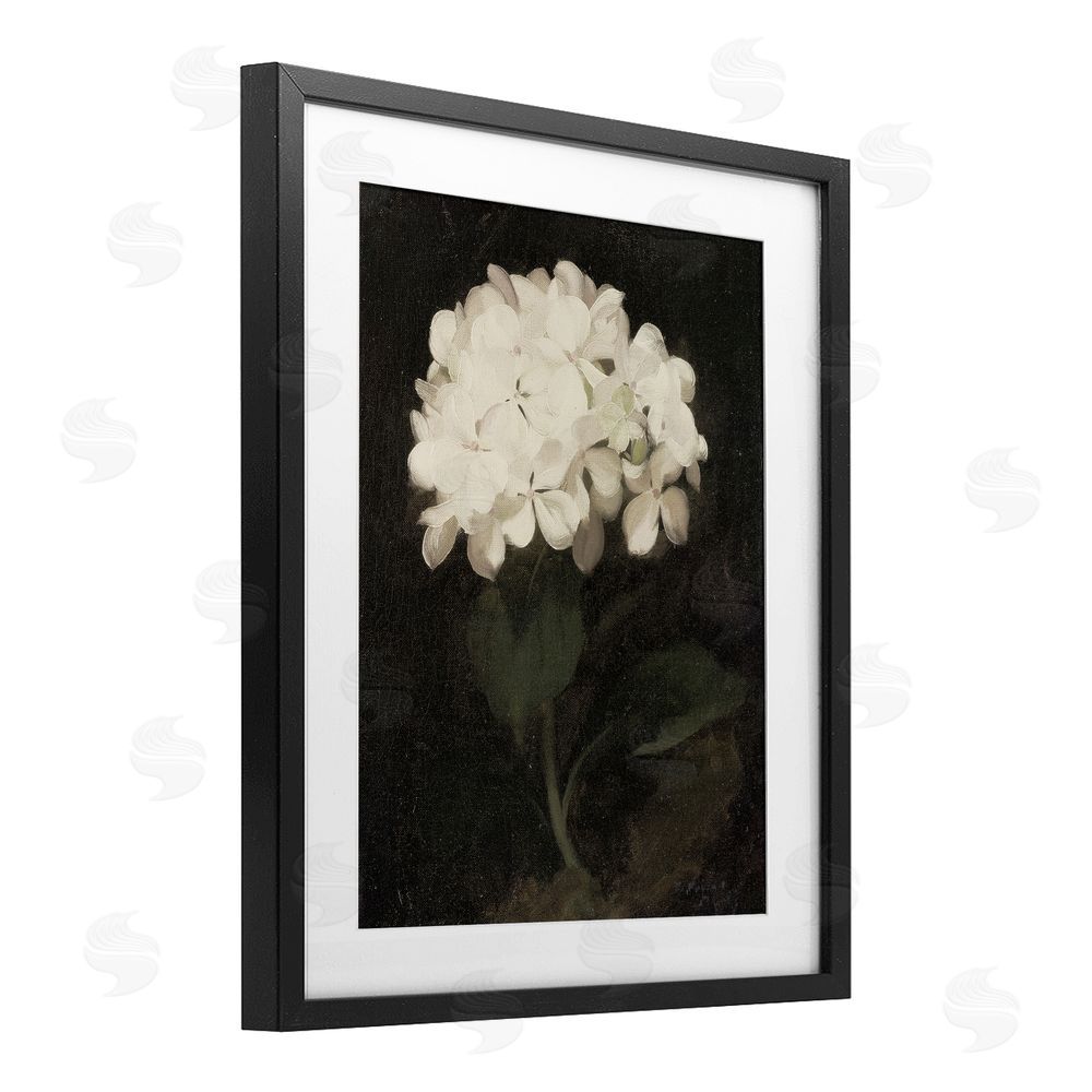 Leah Straatsma White Geranium Cluster Black Framed Print Under Glass Art