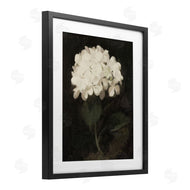 Leah Straatsma | White Geranium Cluster