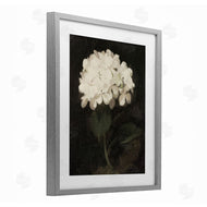 Leah Straatsma | White Geranium Cluster