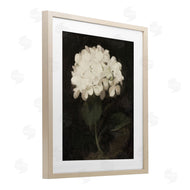 Leah Straatsma | White Geranium Cluster