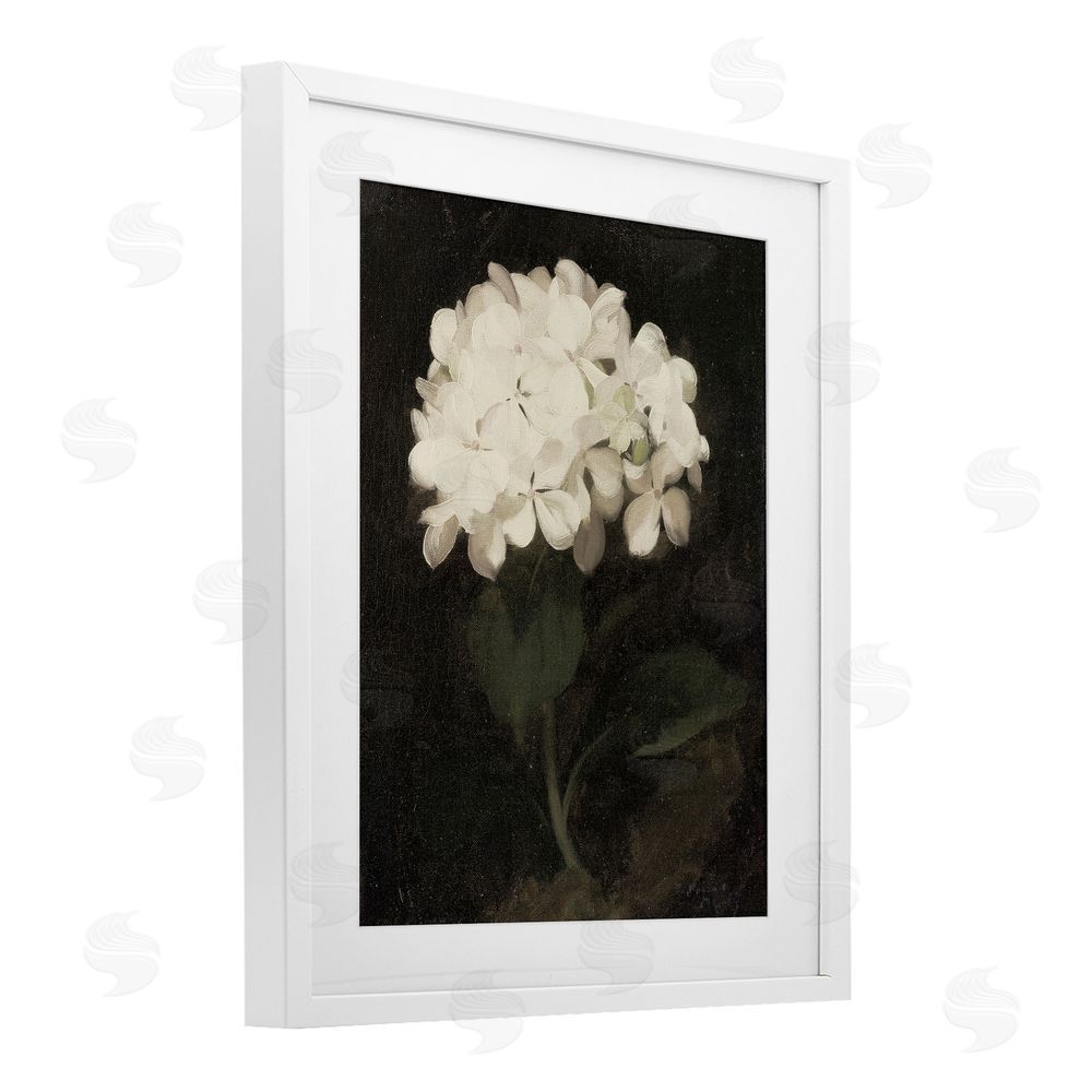 Leah Straatsma White Geranium Cluster White Framed Print Under Glass Art